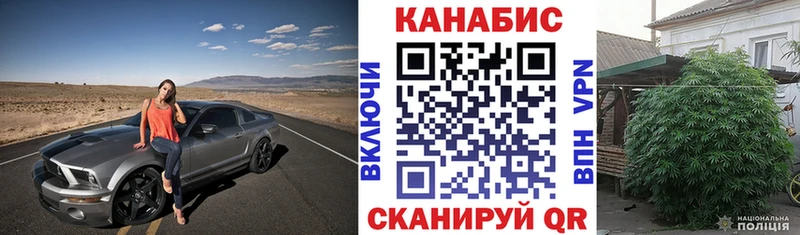 блэк спрут Шарья МАРИХУАНА семена